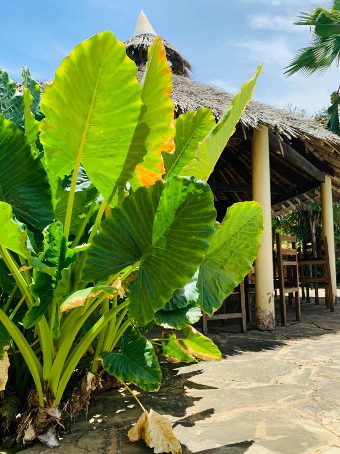 Ltorec Nyali Beach Экстерьер фото